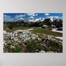 Rey Basin de la ventaja Poster