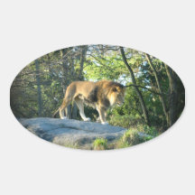 Rey de los pegatinas de la selva