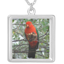 Rey magnífico Parrot Colgante