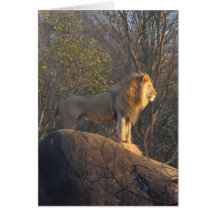 Rey Of The Jungle Tarjeta