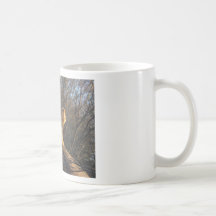 Rey Of The Jungle Taza