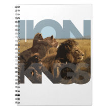 Reyes del león libretas