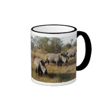 Rhinos blancos en la taza de Sabi Sabi (Suráfrica)