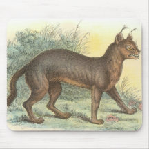 Richard Lydekker - Caracal Alfombrillas De Ratones