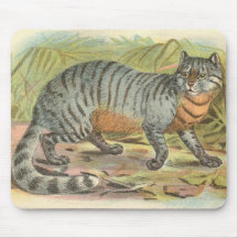 Richard Lydekker - gato de Caffre Tapete De Raton