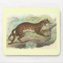 Richard Lydekker - gato de leopardo Tapetes De Raton