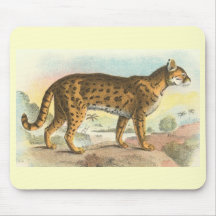 Richard Lydekker - gato de tigre Alfombrillas De Ratones