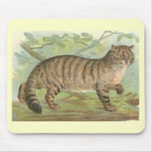Richard Lydekker - gato salvaje Alfombrillas De Ratón
