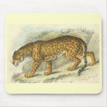 Richard Lydekker - Jaguar Tapetes De Ratones
