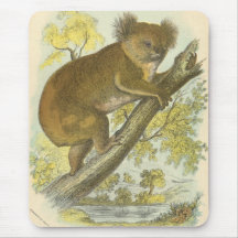 Richard Lydekker - koala Alfombrilla De Ratón