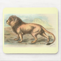 Richard Lydekker - león Tapete De Ratones