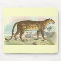 Richard Lydekker - leopardo Tapetes De Raton