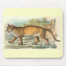 Richard Lydekker - puma Tapete De Ratón