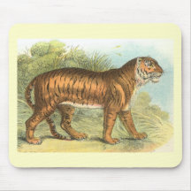 Richard Lydekker - tigre Tapetes De Ratones