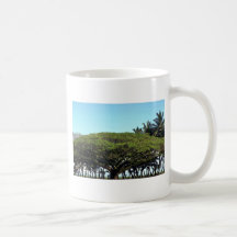 Riegue el árbol por la playa, Hilo, Hawaii Tazas De Café
