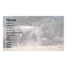 Rinoceronte blanco tarjeta de negocio
