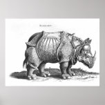 Rinoceronte, de 'Historia Animalium Impresiones