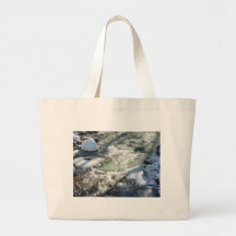 Río 3 de Bearcamp Bolsas