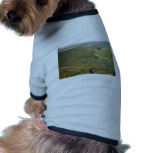 Río de Kanuti en el límite del este de Kanuti W na Camiseta De Perrito