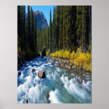 Río de precipitación de Maligne en lona Posters