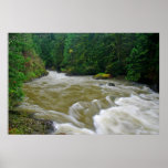 Río de South Fork Snoqualmie Impresiones