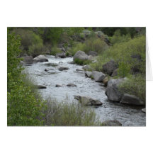 Río de Susan Felicitacion