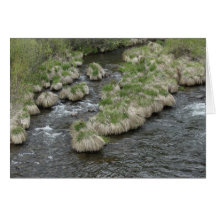Río de Susan Tarjeton
