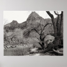 Río de Zion Posters