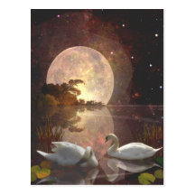Río del cisne tarjeta postal