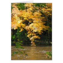Río del otoño tarjetas