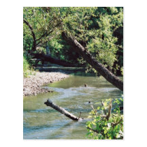 Río del remache escénico postal
