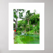 Río del rugido, Westmoreland, Jamaica Poster