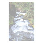 Río del solenoide Duc, Washington, los E.E.U.U. Papeleria