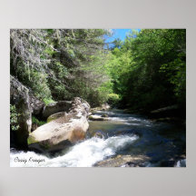 Río en maderas poster