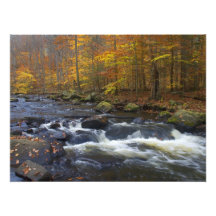 Río negro en el otoño - NJ escénico Impresión Fotográfica
