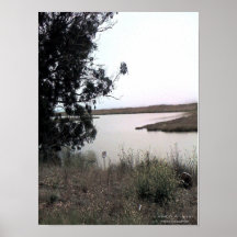 Río Impresiones