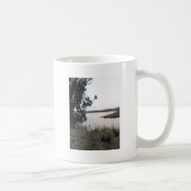 Río Tazas