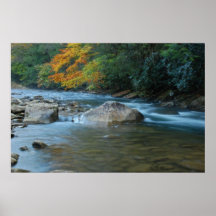 Río trasero I Posters