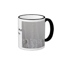 Rise_ Taza