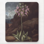 RJ Thornton - el Cowslip americano Tapetes De Ratón