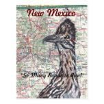 ¡Roadrunner en la postal de New México del mapa - 