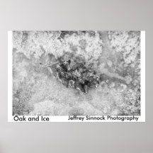 Roble e hielo impresiones