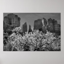 Roca de la catedral poster