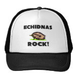Roca de los Echidnas Gorro