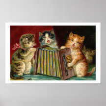 ¡Roca de los gatitos de Accordeon! Poster