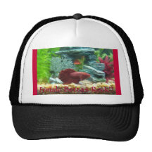 ¡Roca femenina de Bettas!! Gorra