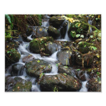 Rocas a lo largo del río de Lewis Fotos
