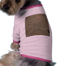 Rocas de la pista camisa de perrito