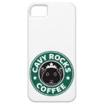 Rocas del Cavy iPhone 5 Cobertura