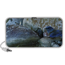 rocas del río iPod altavoz